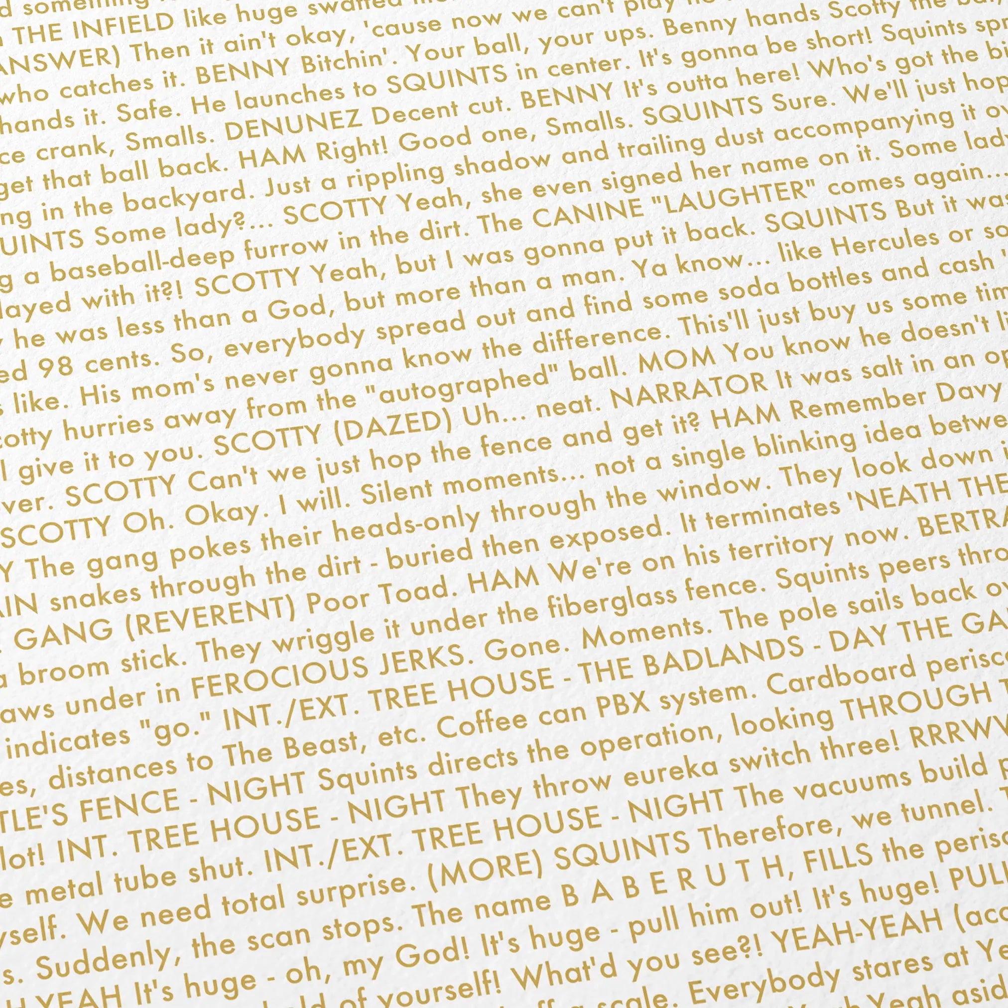 Close-up detail of the The Sandlot movie script poster showing dense typographic text.