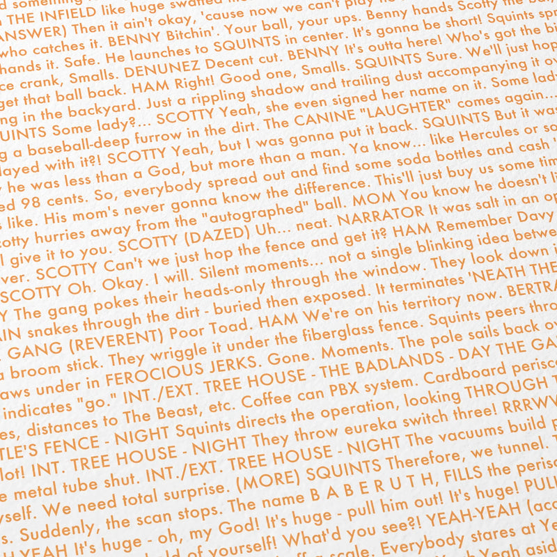 Close-up detail of the The Sandlot movie script poster showing dense typographic text.