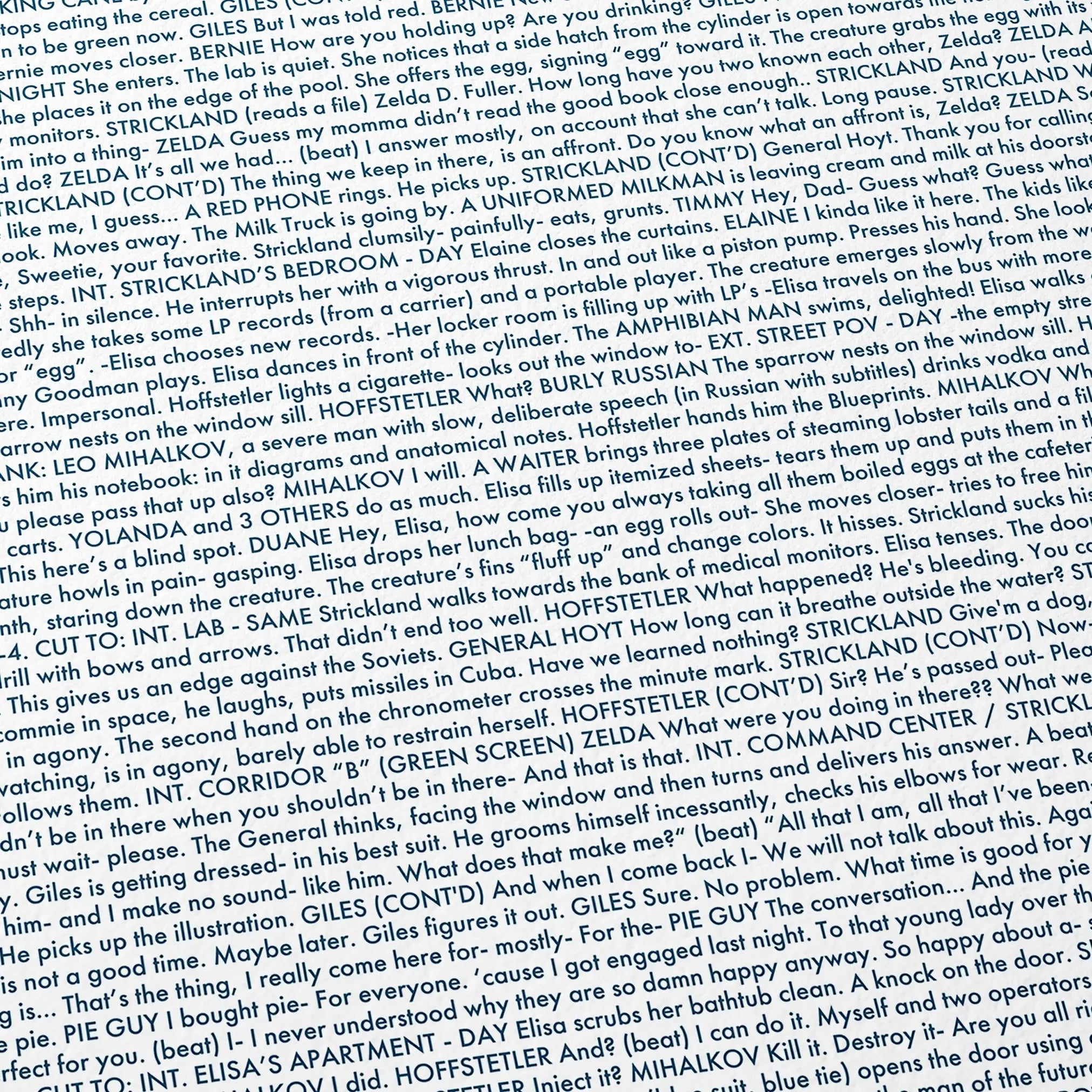 Close-up detail of the The Shape of Water movie script poster showing dense typographic text.