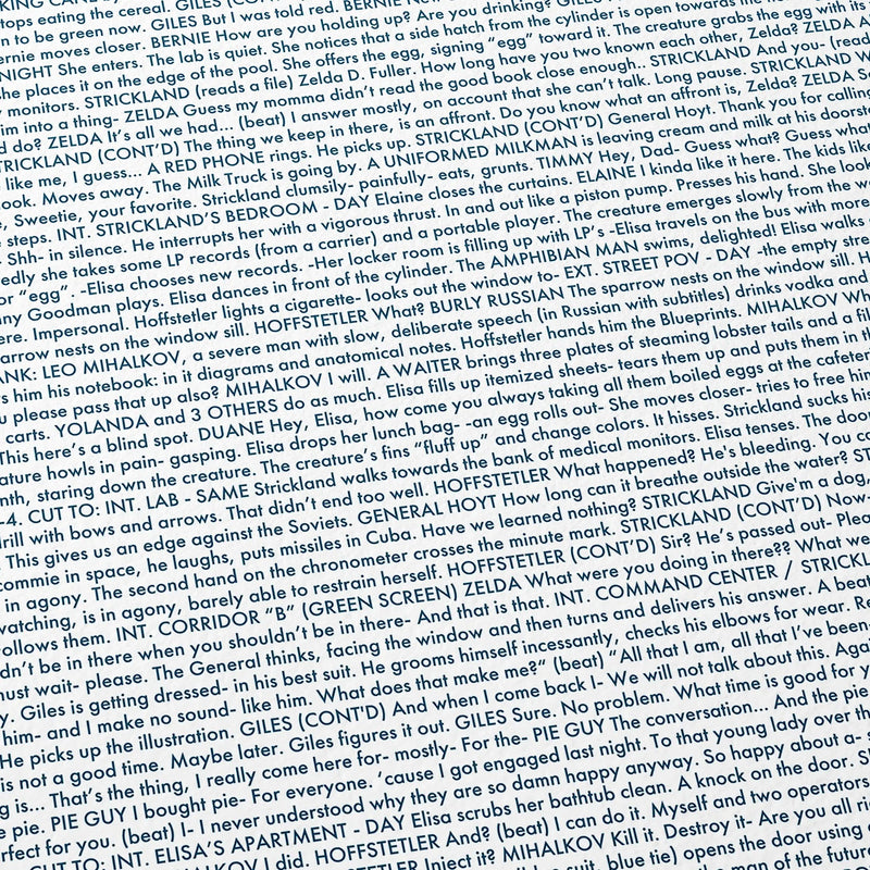 Close-up detail of the The Shape of Water movie script poster showing dense typographic text.