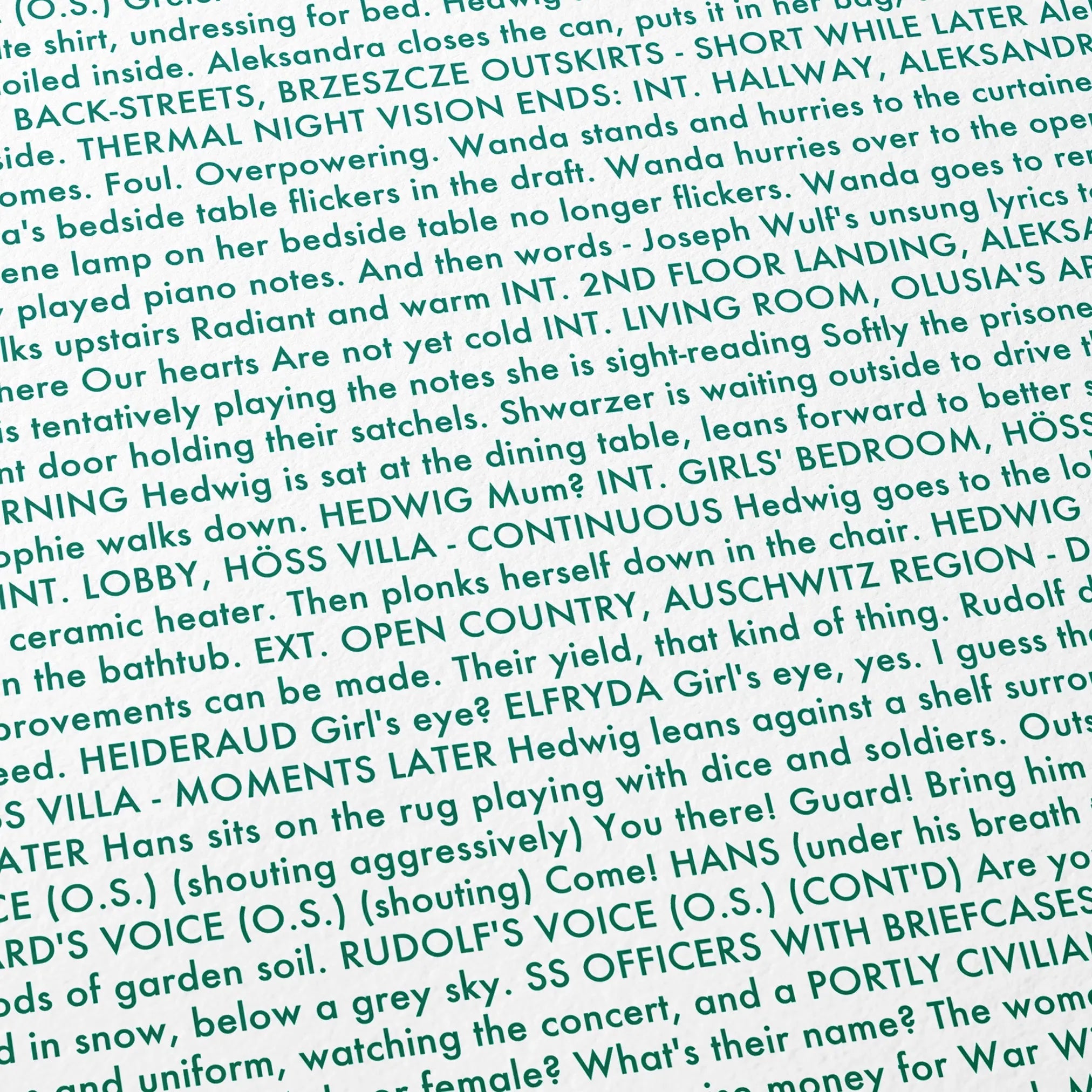 Close-up detail of the The Zone of Interest movie script poster showing dense typographic text.