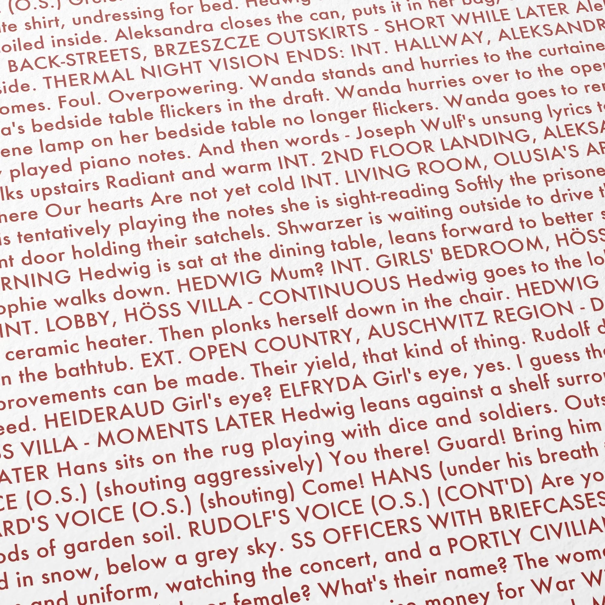 Close-up detail of the The Zone of Interest movie script poster showing dense typographic text.