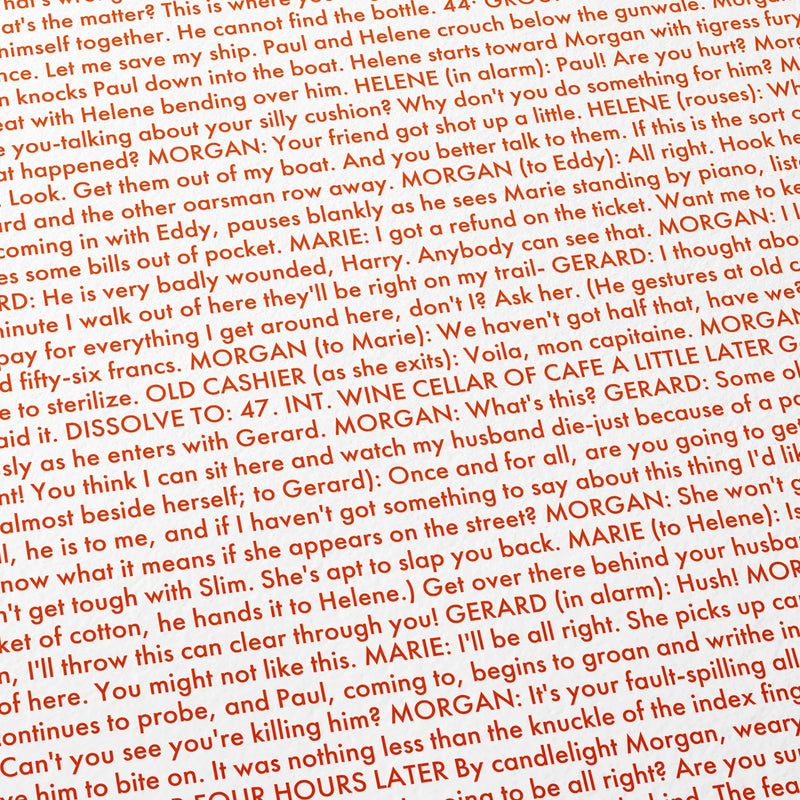 Close-up detail of the To Have and Have Not movie script poster showing dense typographic text.