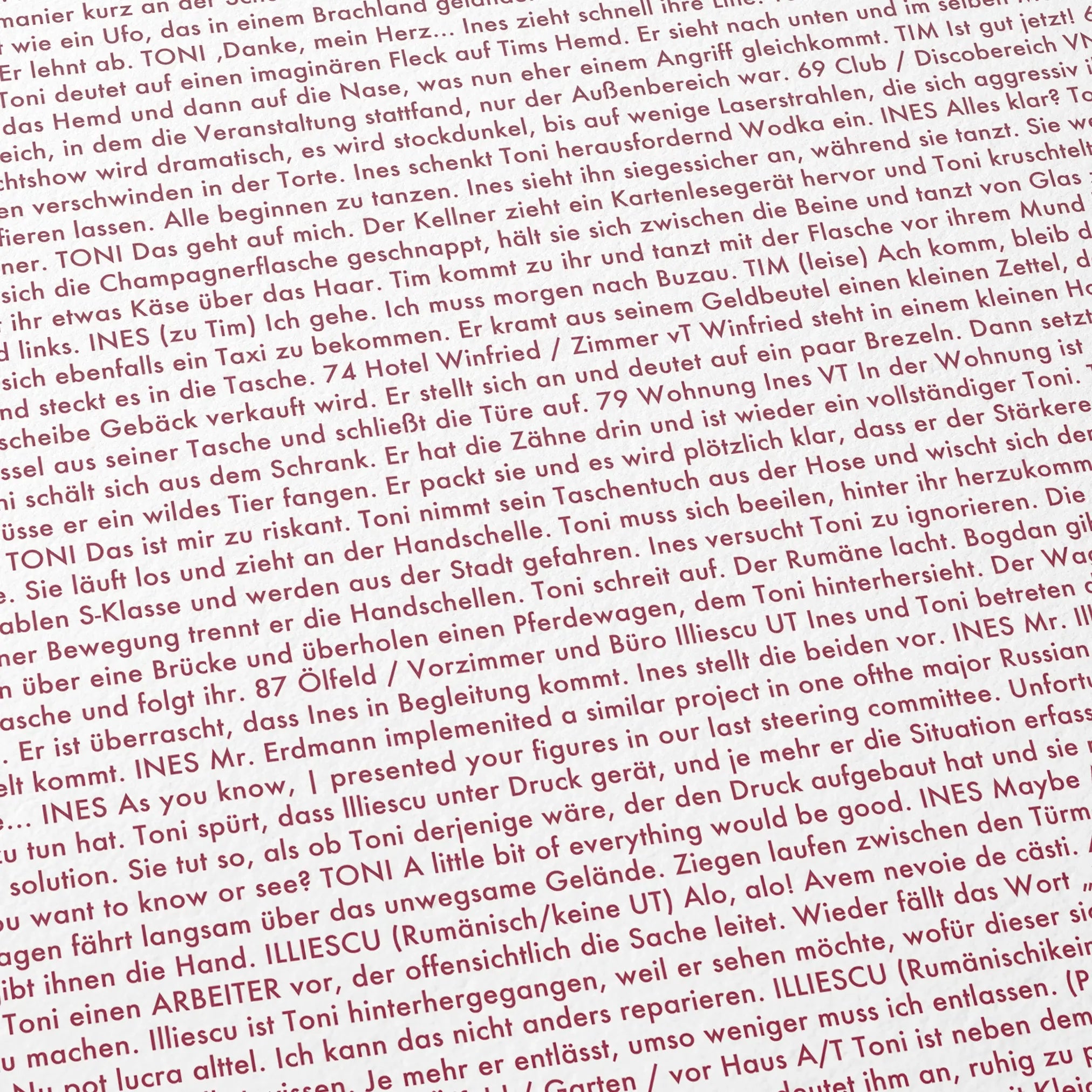 Close-up detail of the Toni Erdmann movie script poster showing dense typographic text.