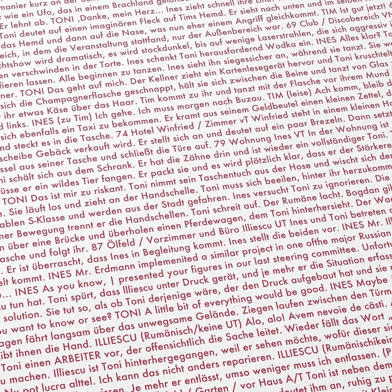 Close-up detail of the Toni Erdmann movie script poster showing dense typographic text.