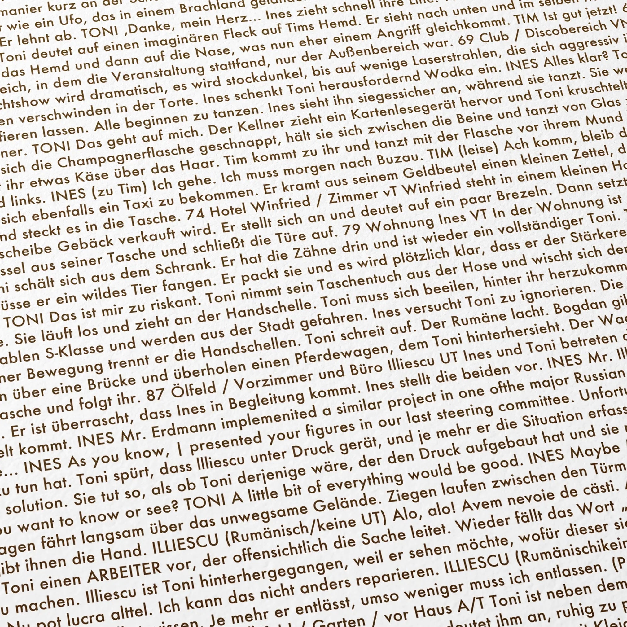 Close-up detail of the Toni Erdmann movie script poster showing dense typographic text.