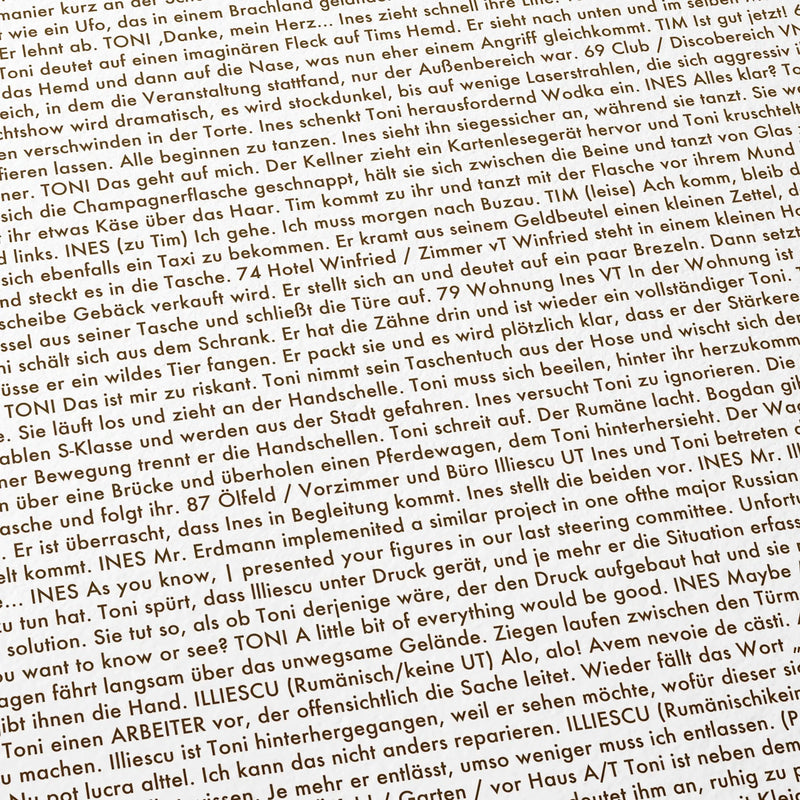 Close-up detail of the Toni Erdmann movie script poster showing dense typographic text.