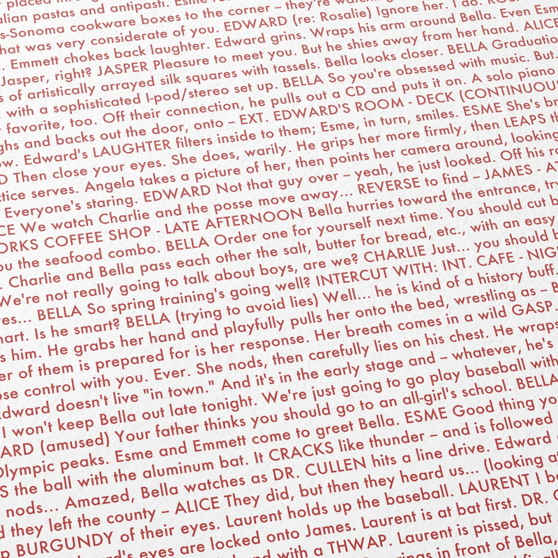 Close-up detail of the Twilight movie script poster showing dense typographic text.