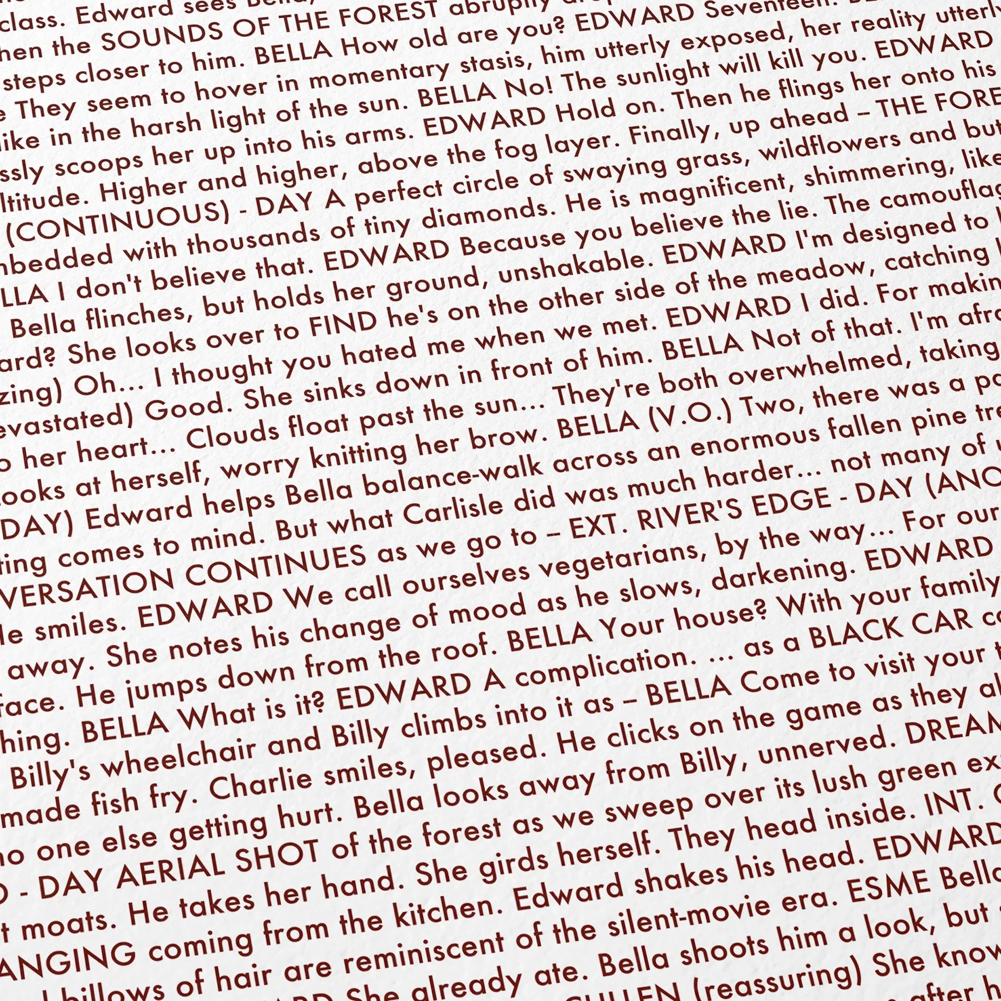 Close-up detail of the Twilight movie script poster showing dense typographic text.