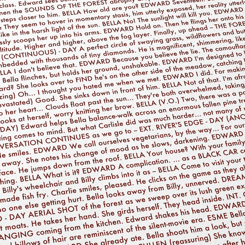 Close-up detail of the Twilight movie script poster showing dense typographic text.