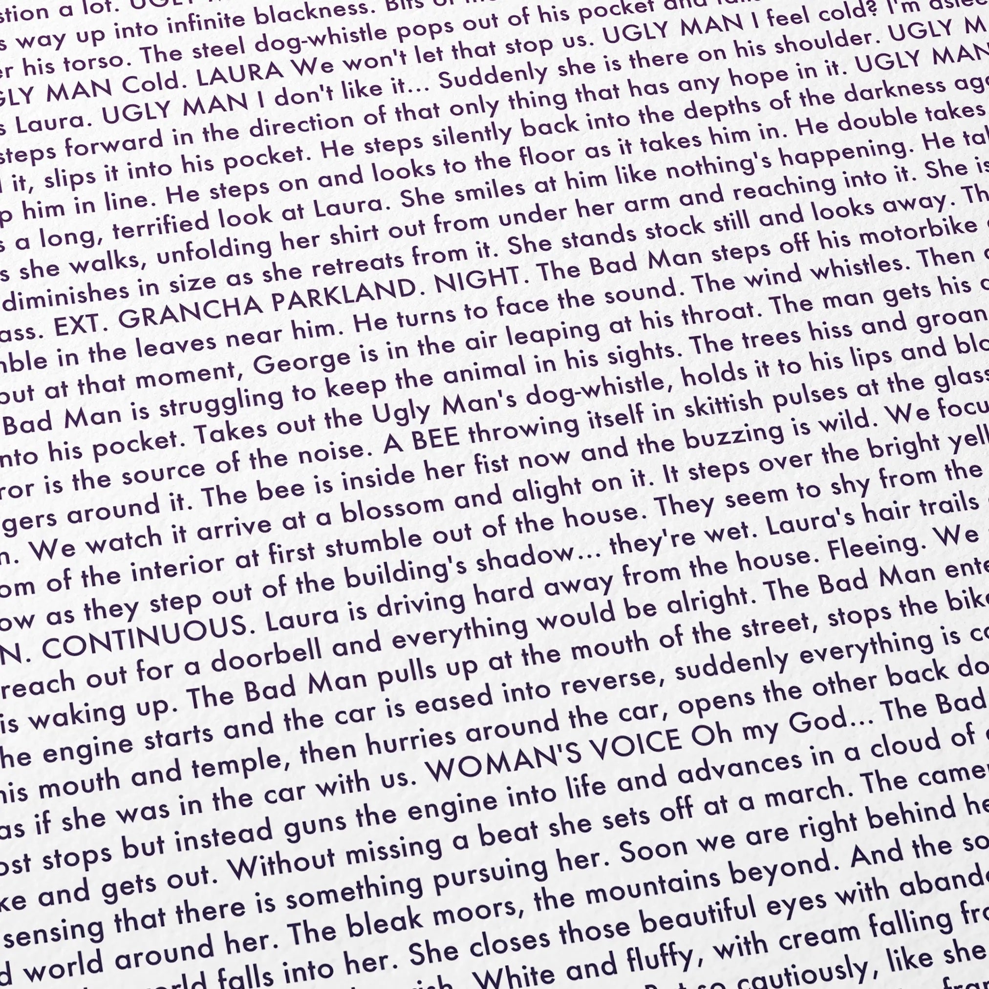 Close-up detail of the Under the Skin movie script poster showing dense typographic text.