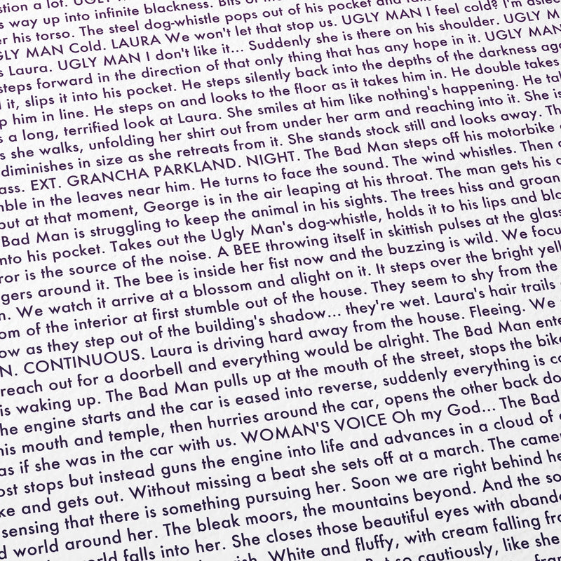 Close-up detail of the Under the Skin movie script poster showing dense typographic text.